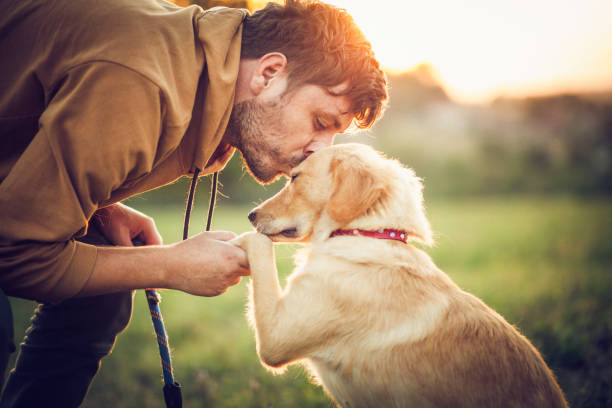 A Dog and It's Owner Sharing a Moment
